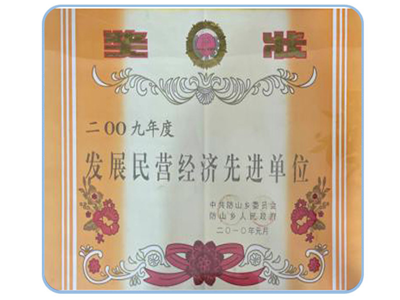 发展民营经济